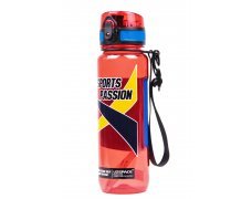 Бутылка"Sports passion" 500мл ALL-6041